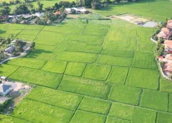 Desmembramento de terras | Saiba como Desmabrar Imóvel | Advogado Belo Horizonte