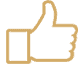 icon-eficiencia