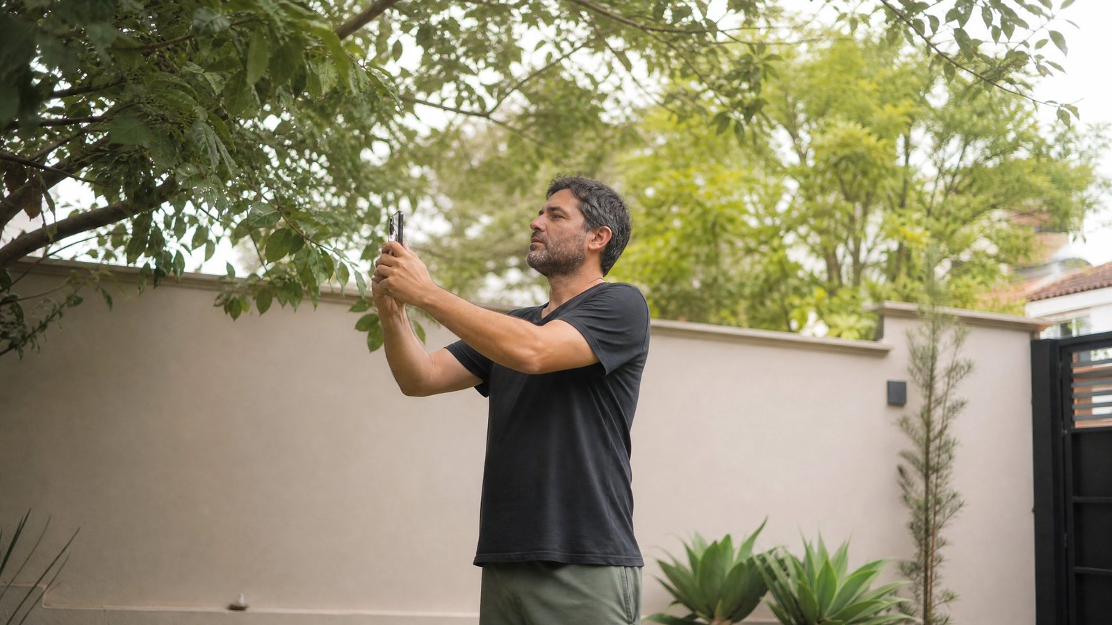 Proprietário no quintal fotografa os galhos da árvore do vizinho que ultrapassam o muro de divisa em BH